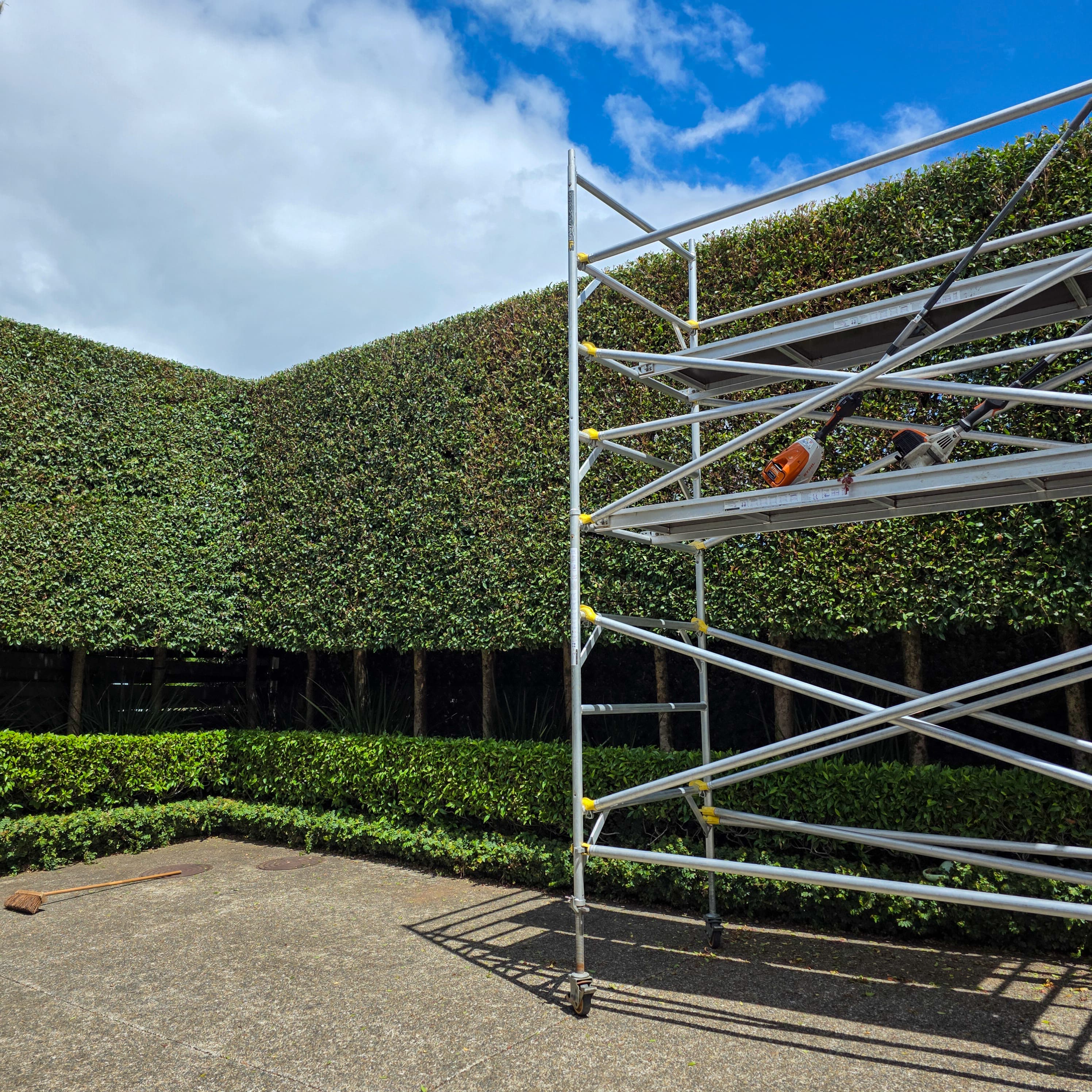 Large Eugenia hedge trimmed at a residential property in Remuera.